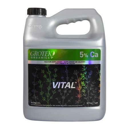 Vital 4L