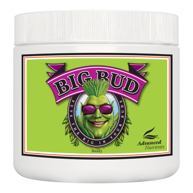 Big Bud Powder 1 Kg